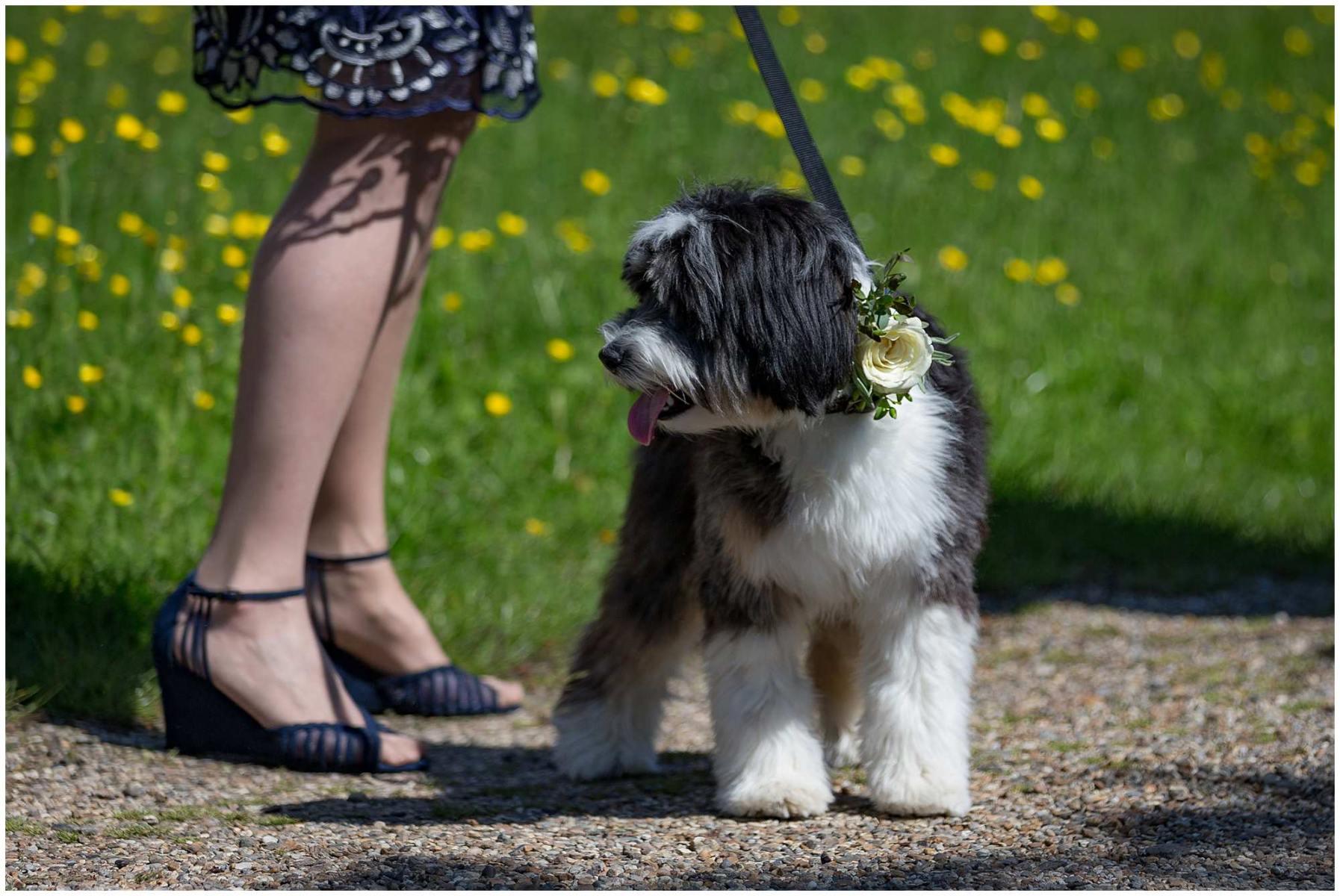 Marnie & Laurence: Suffolk Village Wedding