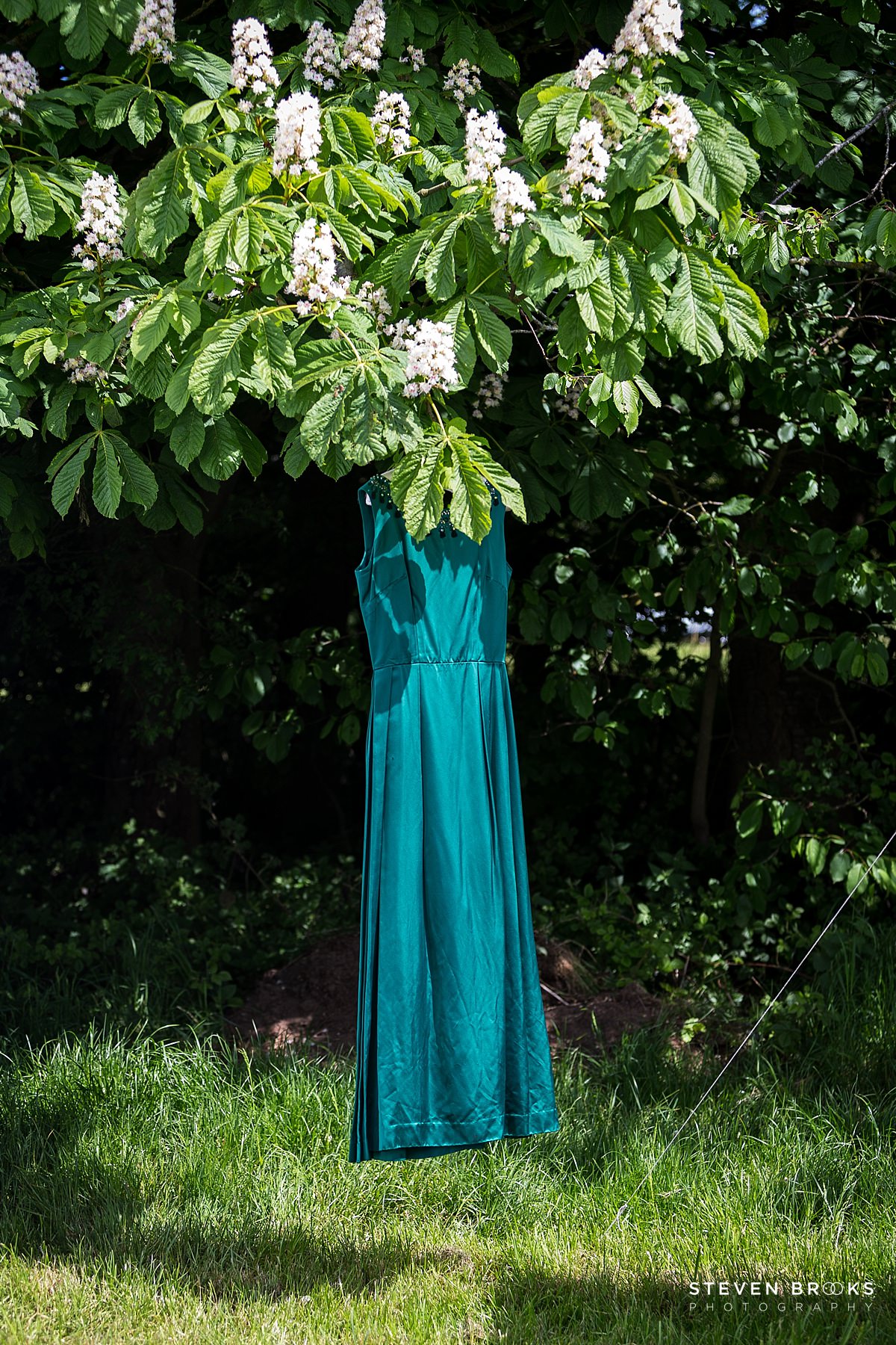 Britain Does Vintage Stody Lodge Norfolk photographer steven brooks photographs Britain Does Vintage at Stody Lodge vintage dress hanging in a tree