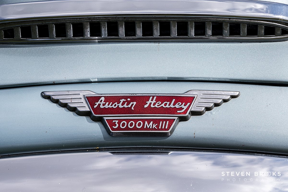 Britain Does Vintage Stody Lodge Norfolk photographer steven brooks photographs a a austin heal;ey car badge at Britain Does Vintage at Stody Lodge