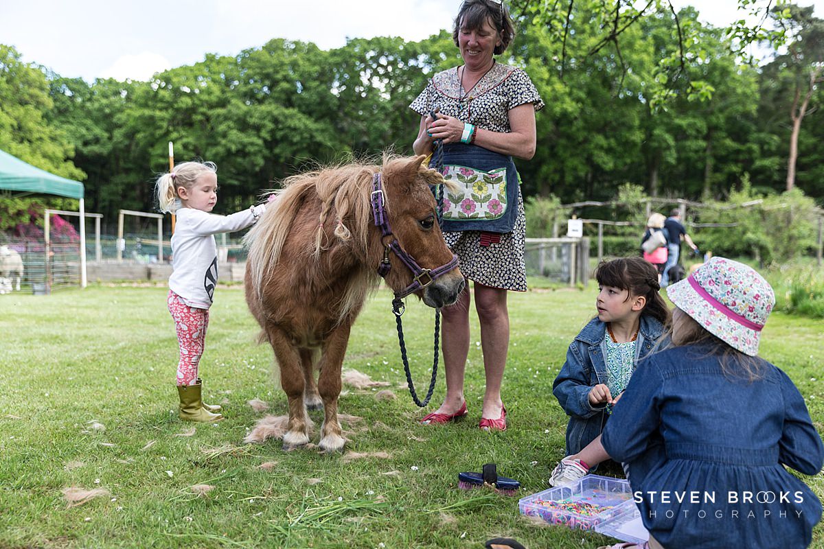 Britain Does Vintage Stody Lodge Norfolk photographer steven brooks photographs a little girl brushing a pony at Britain Does Vintage at Stody Lodge
