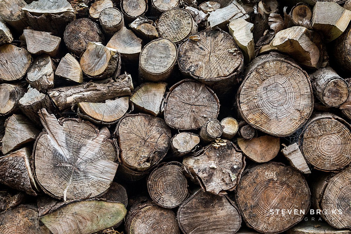 Britain Does Vintage Stody Lodge Norfolk photographer steven brooks photographs a wood log pile on the Stody Lodge estate in Norfolk