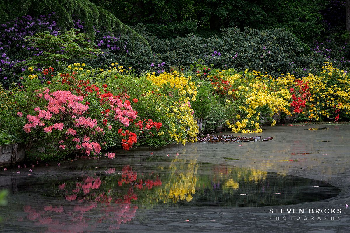 Britain Does Vintage Stody Lodge Norfolk photographer steven brooks photographs the water gardens on the Stody Lodge estate in Norfolk