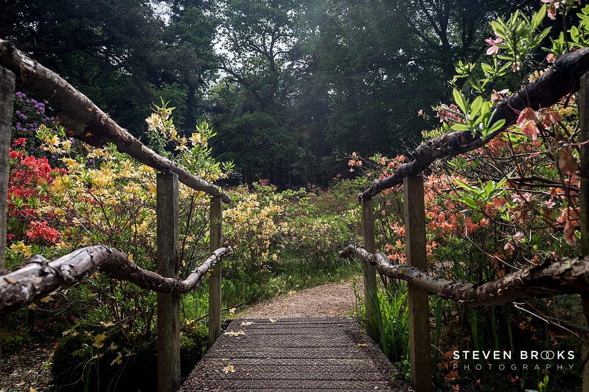 Britain Does Vintage Stody Lodge Norfolk photographer steven brooks photographs a wooden bridge on the Stody Lodge estate in Norfolk