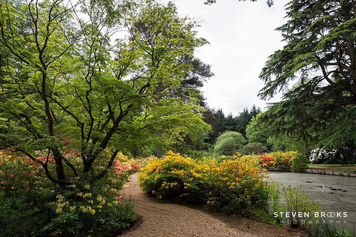 Britain Does Vintage Stody Lodge Norfolk photographer steven brooks photographs the water garden on the Stody Lodge estate in Norfolk