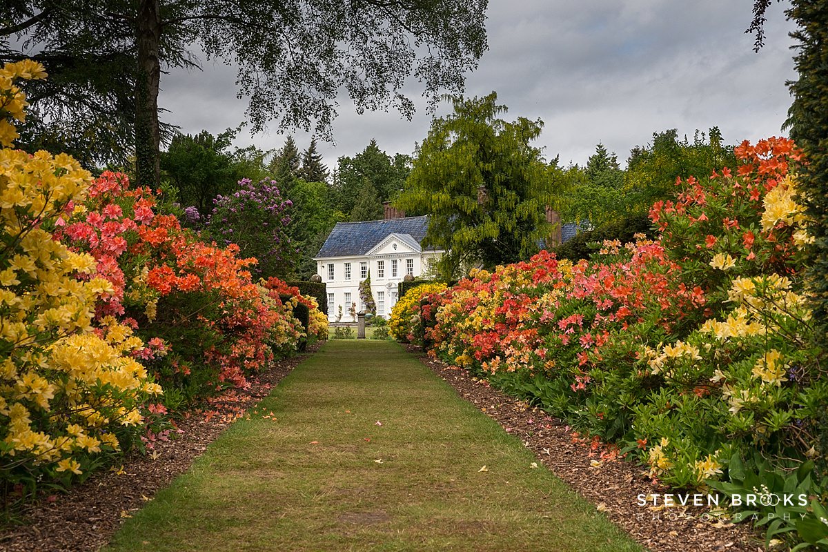 Britain Does Vintage Stody Lodge Norfolk photographer steven brooks photographs an azalea row leading to the lodge on the Stody Lodge estate in Norfolk