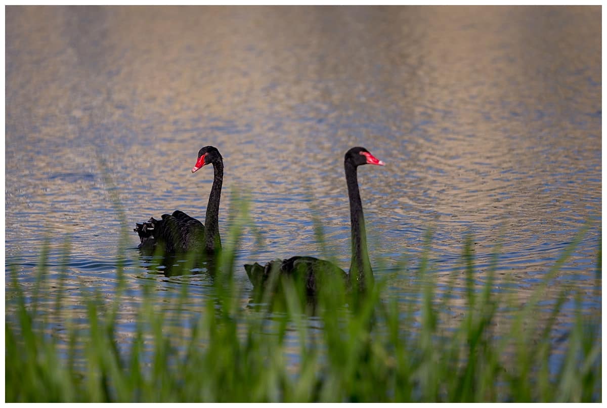 Annie & Lawrence, Leeds Castle Annie & Lawrence, Leeds Castle