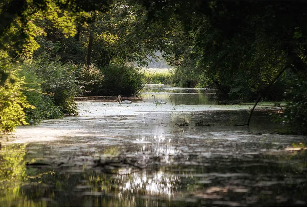 Zoe and Alex: Home Wedding, Suffolk Zoe and Alex: Home Wedding, Suffolk