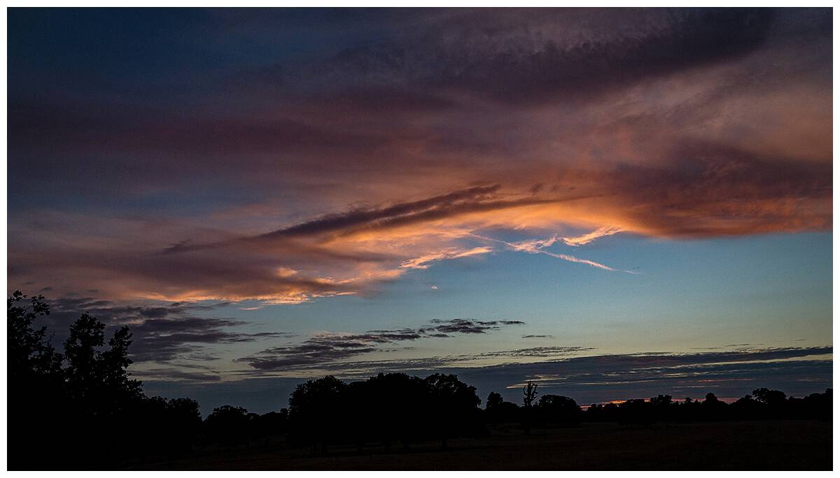 Olivia and Ben: Kirtlington Park, Oxfordshire Olivia and Ben: Kirtlington Park, Oxfordshire