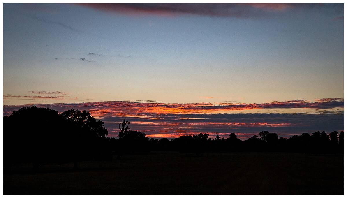Olivia and Ben: Kirtlington Park, Oxfordshire Olivia and Ben: Kirtlington Park, Oxfordshire