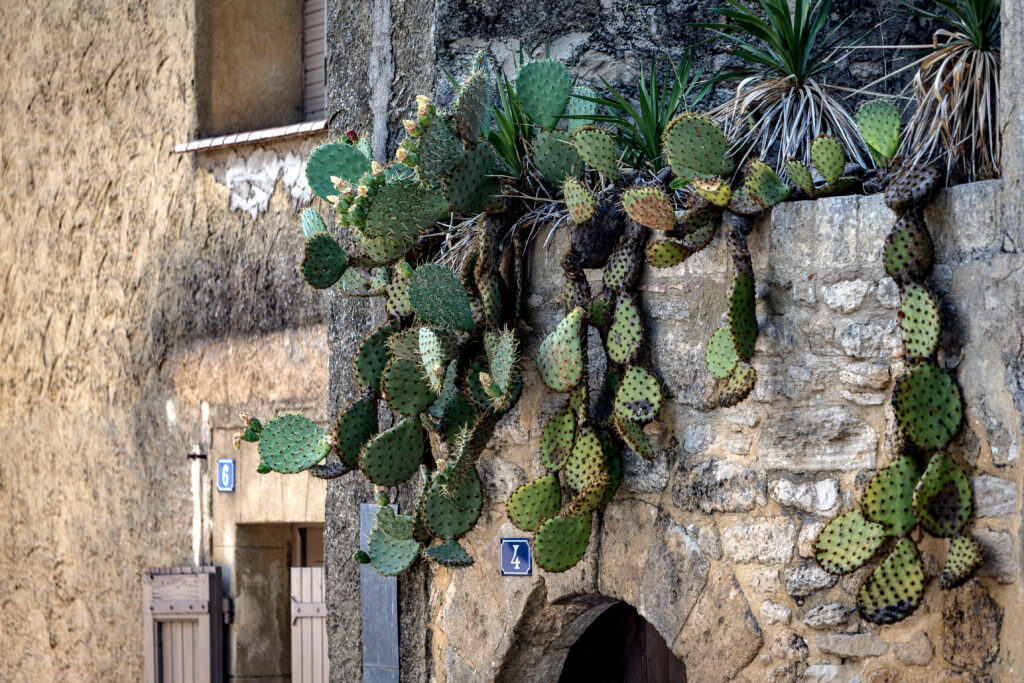 Camilla & Ben - Chateau Wedding Camilla & Ben - Chateau Wedding